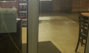 Chicken Nugget Wants A Pup Cup