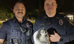 Police chase loose lemur through Missouri neighborhood