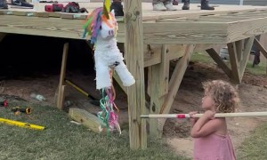 Brother Tumbles At The Party