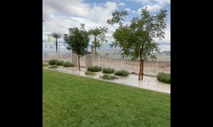 Flooding Outside Las Vegas Apartments