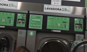 Plush Toy Does Not Survive The Wash