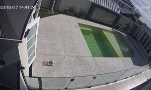 Man Falls Into Pool While Trying  to Clean It