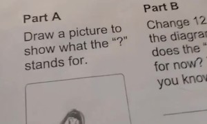 Girl Explains Her Answer on Math Homework