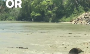 Is this more exciting than your commute to work?