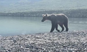 Another Beautiful Alaska Morning