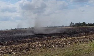 Dust Devil Moves Through Harvested Corn Field