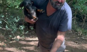 Search And Rescue For Pet Dachshund