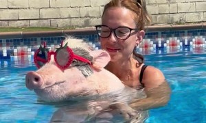 Roxy And Mom Cool Off In The Pool