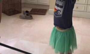 When Your Son Has a Big Sister