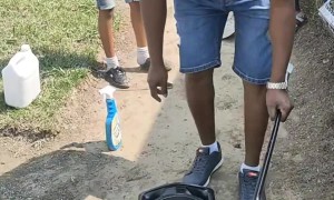 Bush Snake Found Curled Up Inside Speaker