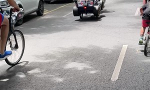 This Formula 1 Dog Is Ready To Race