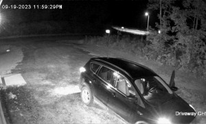 Bayfield Bears Open Car Door