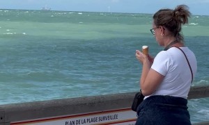 Mission Impossible: Seagull Edition