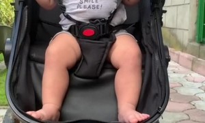 Kitty Plays With Baby in Stroller