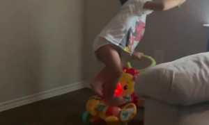 Son Learns To Stop When Told To Stop