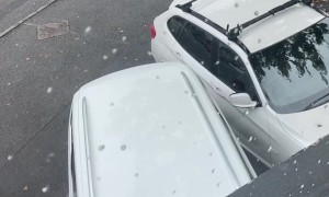 New Driver Struggles To Reverse