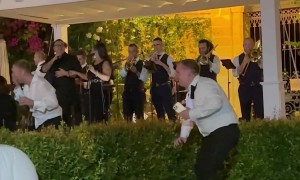 Wedding Guest Falls Backward Over Hedge