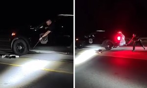 Police rescue skunk with cup stuck on its head