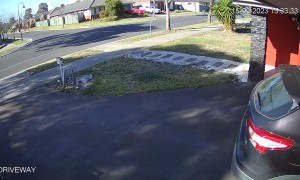 Cat Casually Chills On Car Roof