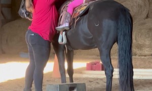 Horse Rider Scares Her Horse With A Toot