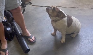 He's Guilty, Your Honor