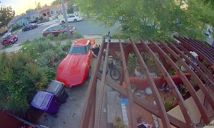 Neighborhood Kid Tips Motorcycle Into Classic Corvette