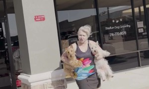 Angry Lady Gives Weirdly Aggressive Compliments