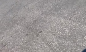 Alleged Car Thief  Confronted and Given $40