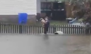 Police Rescue Dog From Rising Floodwaters