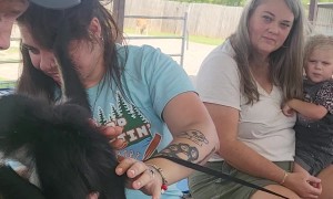 Monkey's Got a Strong Grip