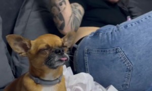 Alexey Is Very Tired From His Road Trip