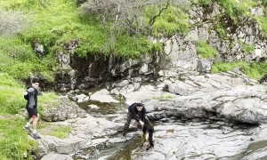 Dog Rides A Natural Waterslide