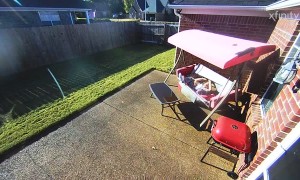 Man Falls Through Swing