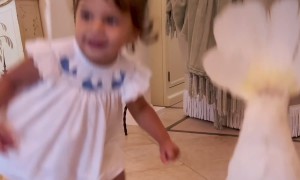 Cockatoo Is a Dance Coach