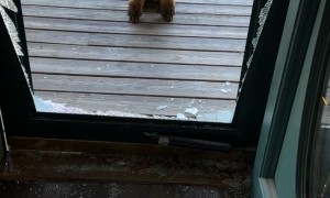 The Art and the Artist