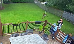 Distracted Driver Barrels Through Backyards