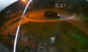 Bad Neighbour Takes Halloween Decorations