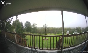 Dog Rings The Doorbell