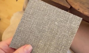 Testing Sofa Swatches When You Have Two Pugs