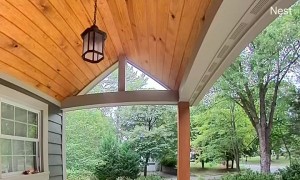 Large Bear Ready to Hibernate Lumbers Across Porch