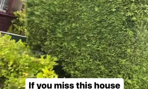Man Puts His Door Number On His Shrubbery