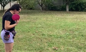 Frisbee Toss Goes The Wrong Way