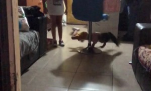 Spinning A Chair In A New Way