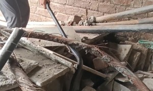 Snake Startles Animal Rescuer