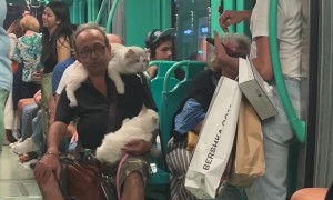 He Can't Go Anywhere Without Them