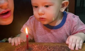 Brother Gets Distracted During Birthday Candle Blow Out