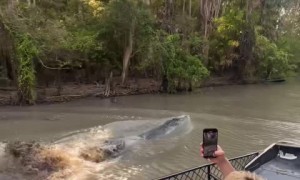 Such an incredible & wild experience!