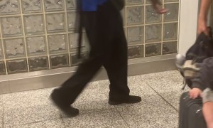 Baby Rides Through Airport Strapped To Carry-On Suitcase