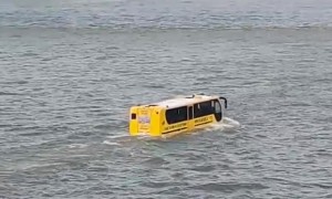 Busmarine