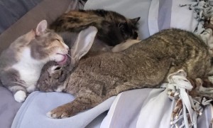 Sunday Morning Snuggle Session